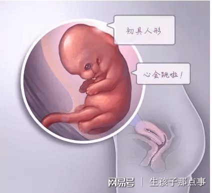人工孕妈代怀咨询联系电话